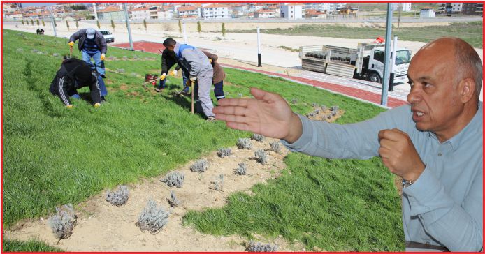 “DAHA YEŞİL BİR KARAMAN İÇİN ÇALIŞIYORUZ”