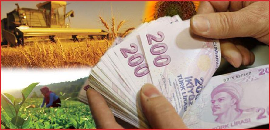 TARIMSAL DESTEKLER BELİRLENDİ