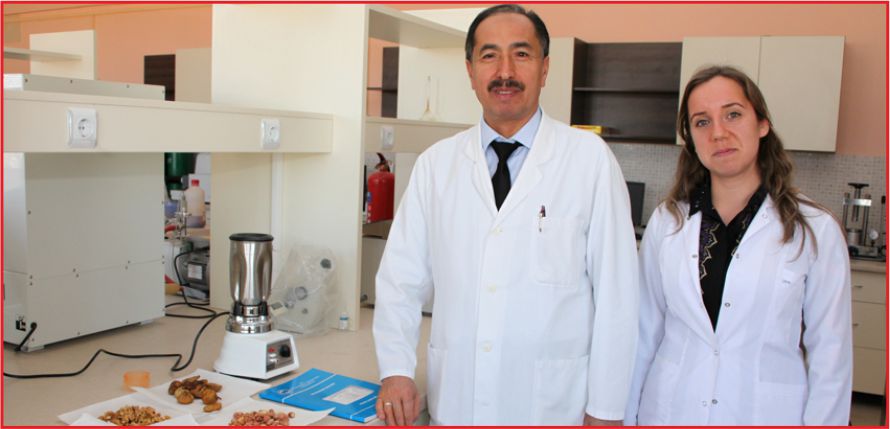 BAZI GIDALARIN AFLATOKSİN DEĞERLERİ ARAŞTIRILDI