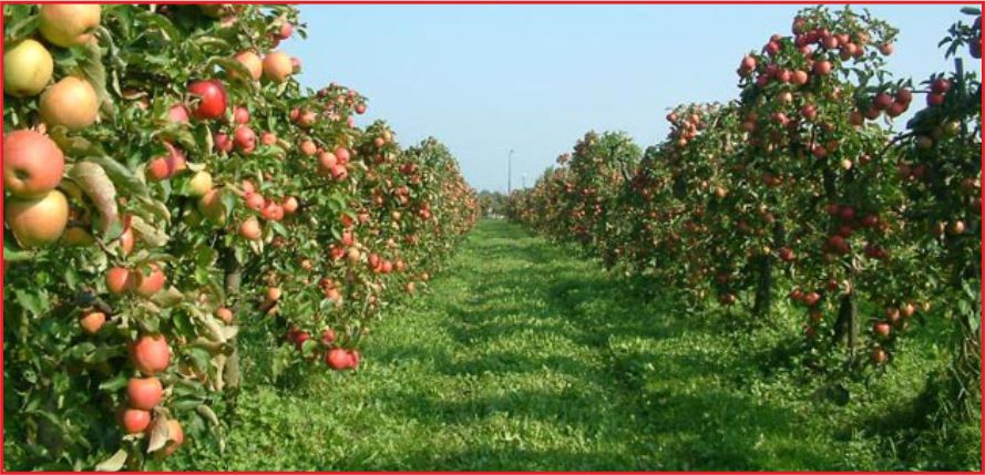 ÇİFTÇİ BORÇLARI ERTELENDİ !