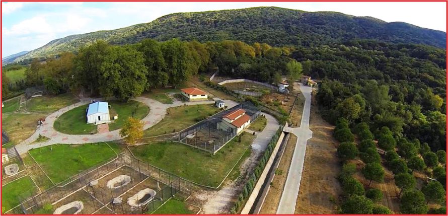 YABAN HAYVANLARI EMİN ELLERDE