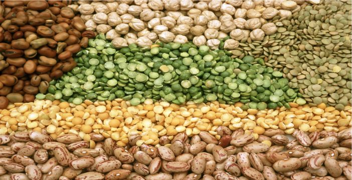 “DESTEK ARTINCA ÜRETİM DE ARTIYOR”