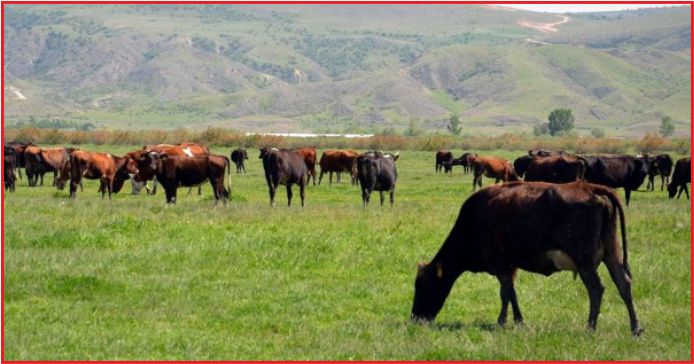 DEVİR İMKANI GETİRİLDİ