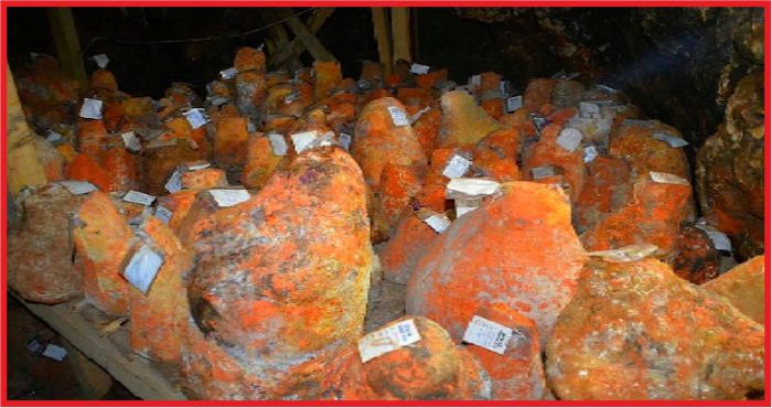 DİVLE PEYNİRİ ÜRETİCİLERİ LİSTESİ BELİRLENDİ