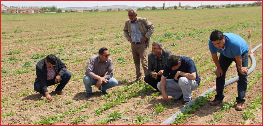 KOP, ÇİFTÇİLERİ UYARIYOR