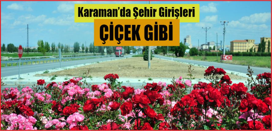ŞEHİR GİRİŞLERİ ÇİÇEK GİBİ