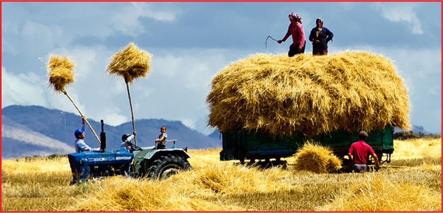 YILIN İLK 8 AYINDA 8.9 MİLYAR LİRALIK DESTEK