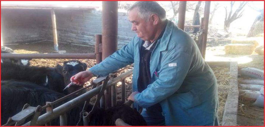 ŞAP AŞILAMA KAMPANYASI TAMAMLANIYOR