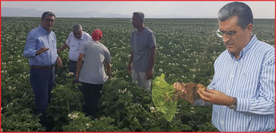 “1 DOLARI BİLE İTHALATA VERMEYECEĞİZ”