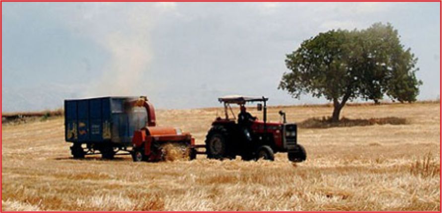 DÜNYANIN 7\&#039;NCİ BÜYÜK TARIM ÜRETİCİSİYİZ