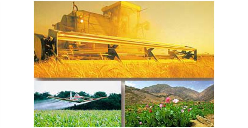 “TARIMDA AVRUPANIN EN BÜYÜYÜĞÜZ”