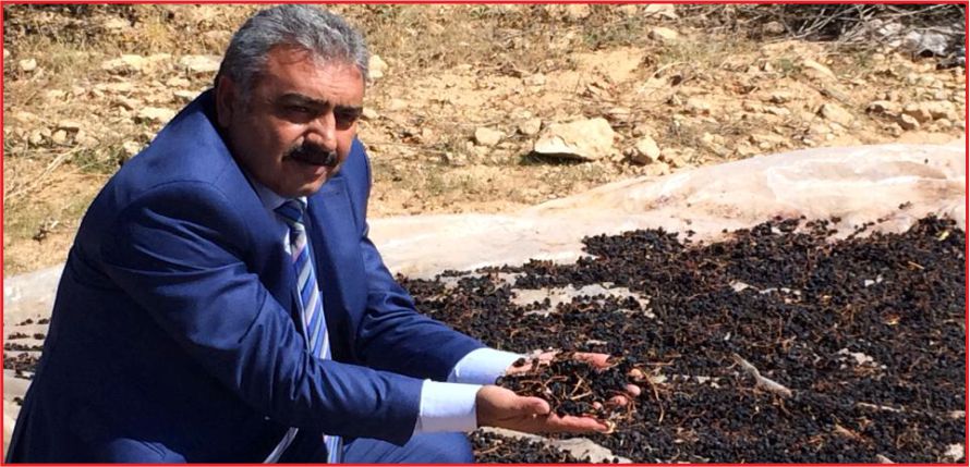 KZO  EKŞİKARA’YI TANITACAK