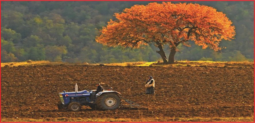 “TARIMSAL DESTEKLER HEMEN AÇIKLANMALI”