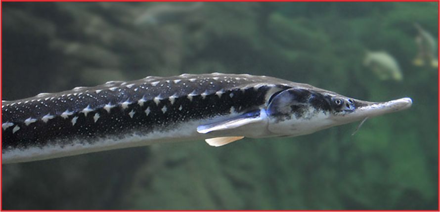 MEVKA’DAN BALIKÇI VE ÇİFTÇİYE EĞİTİM DESTEĞİ