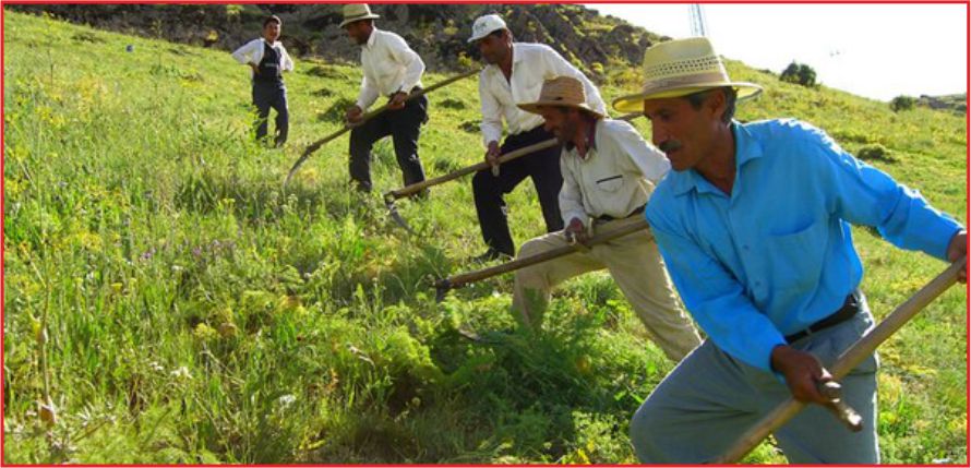 ÇİFTÇİYE YAKIN TAKİP!