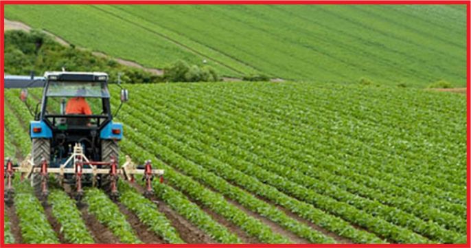 EKİLMEDİK BİR KARIŞ TOPRAK KALMAYACAK