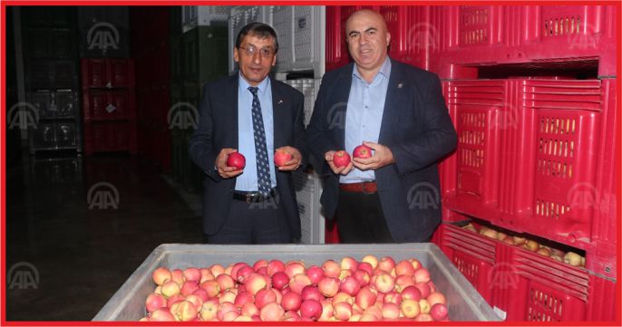 “ELMAYA İHRACAAT TEŞVİĞİ VERİLMELİ”