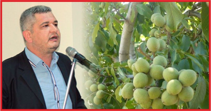 ERMENEK’DE CEVİZ ÇALIŞTAYI