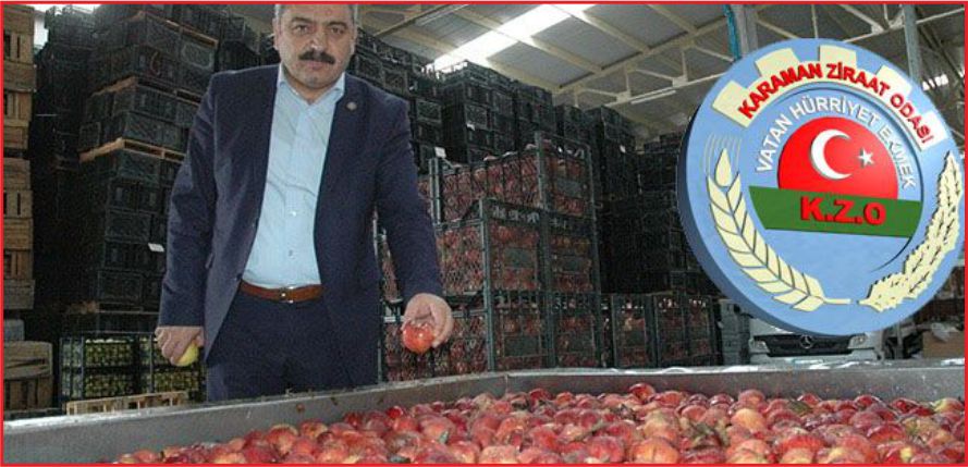 ELMA ÇALIŞTAYI YAPILIYOR