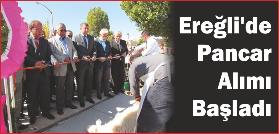 EREĞLİ\&#039;DE PANCAR ALIMI BAŞLADI