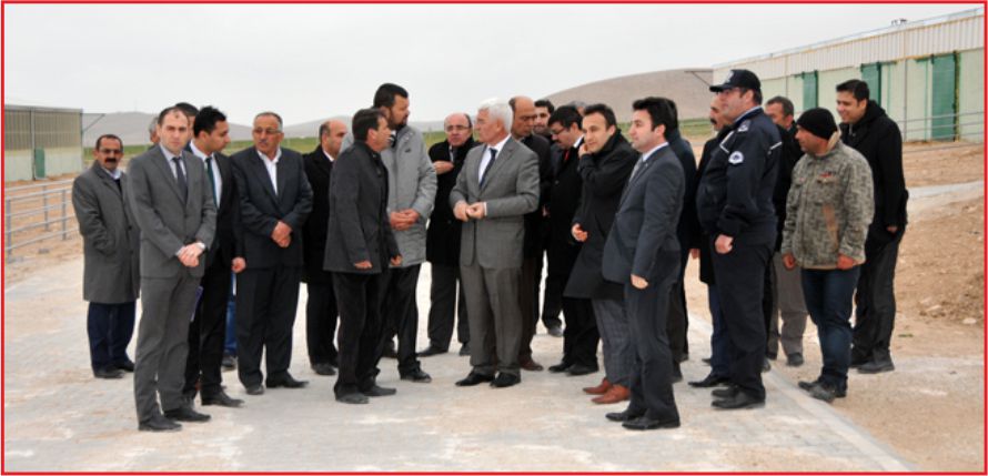 SÜT KOYUNCULUĞU İŞLETMESİ