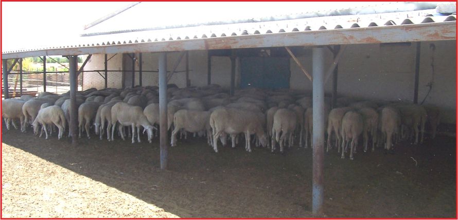 DESTEKLEME TEBLİĞİ YAYIMLANDI