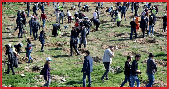 FİDANLAR TOPRAKLA HAYAT BULACAK