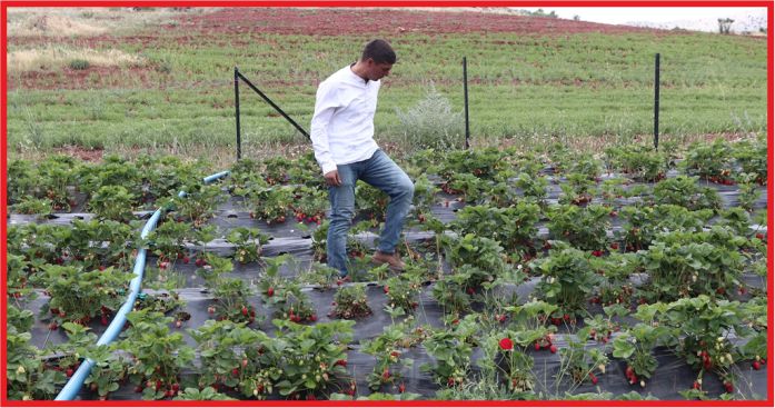 “GELİŞMEMİZ İÇİN ÜRETMEMİZ LAZIM”