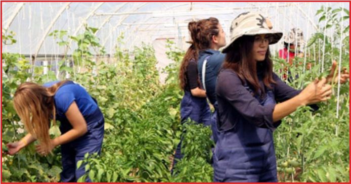 GENÇ ÇİFTÇİ DESTEĞİ İÇİN SON GÜN 30 NİSAN