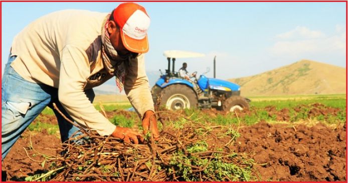 GENÇ ÇİFTÇİLERE 2018 DESTEĞİNDE GERİ SAYIM