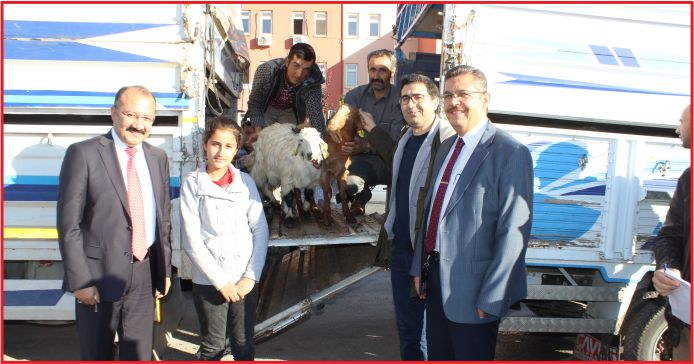 GENÇ ÇİFTÇİLERE KEÇİLERİ TESLİM EDİLDİ