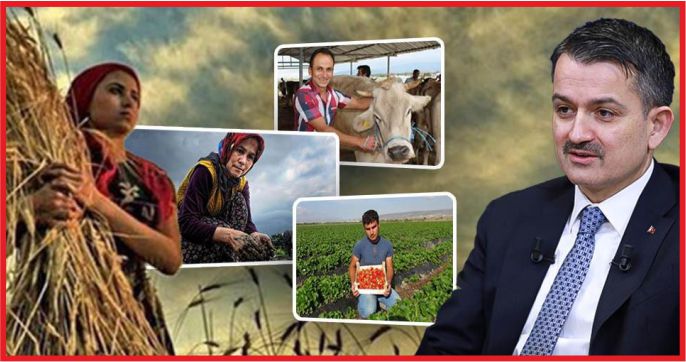 GENÇ VE KADIN ÇİFTÇİLERE YÜZDE 50 HİBE DESTEĞİ