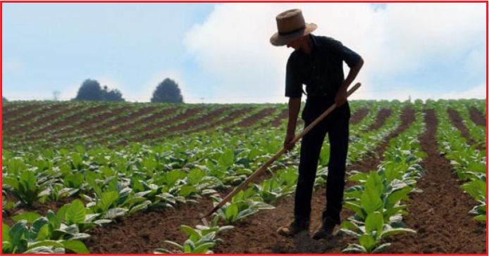 GİRİŞİMCİYE 500 BİN EURO HİBE