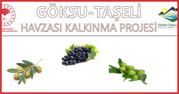 GÖKSU-TAŞELİ  KALKINMA PROJESİ HİBELERİ