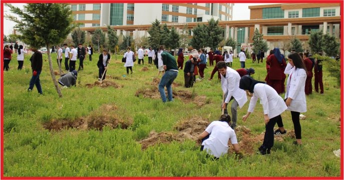 HASTANE ÇALIŞANLARINDAN AĞAÇ DİKME ETKİNLİĞİ