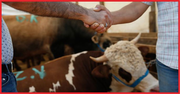HAYVAN SATIŞ YERLERİNE YÖNELİK ÖNLEMLER BELİRLENDİ