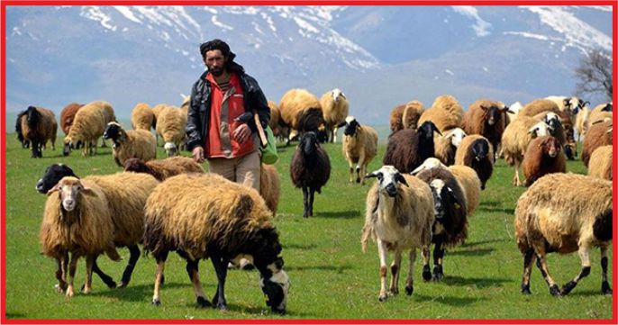 HAYVANCILIĞA VE TARIMA KREDİ