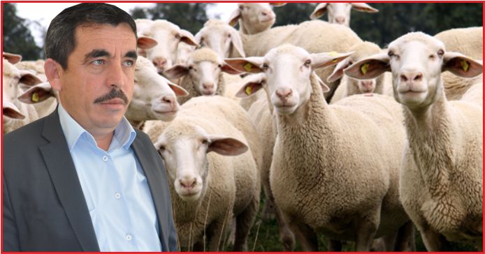 “HAYVANCILIK ZİRVE YAPACAK”