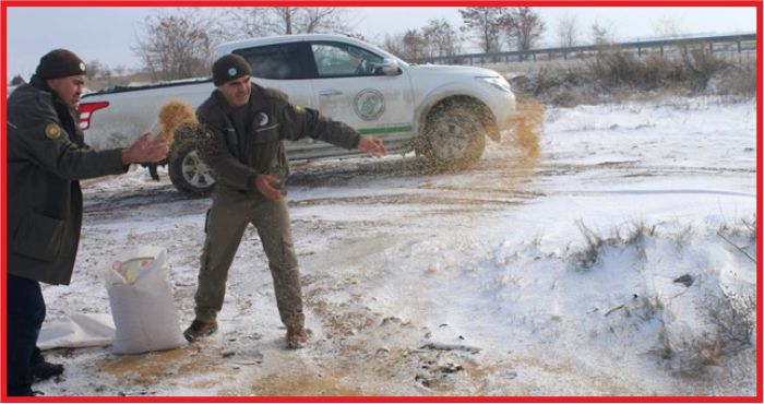 HAYVANLAR İÇİN DOĞAYA YİYECEK BIRAKILDI