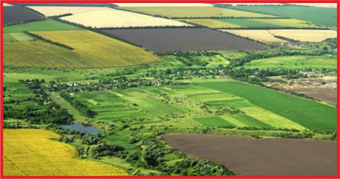 HAZİNE ARAZİLERİ ÇİFTÇİYE VERİLECEK!