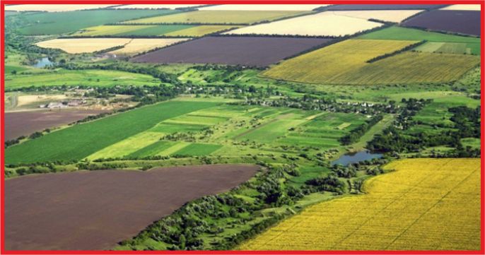 HAZİNEYE AİT TARIM ARAZİLERİNDE KİRALARA 6 AY ERTELEME