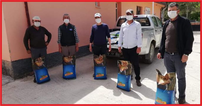 HİBELİ DANE MISIR TOHUMU DAĞITIMI YAPILDI