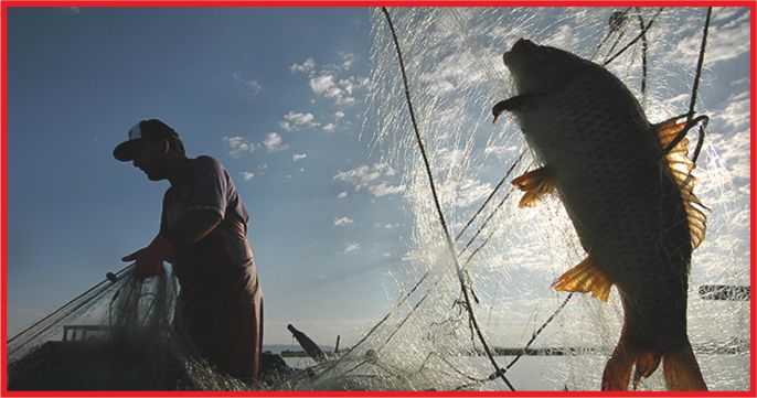 İÇ SULARDA SU ÜRÜNLERİ AV YASAĞI BAŞLADI