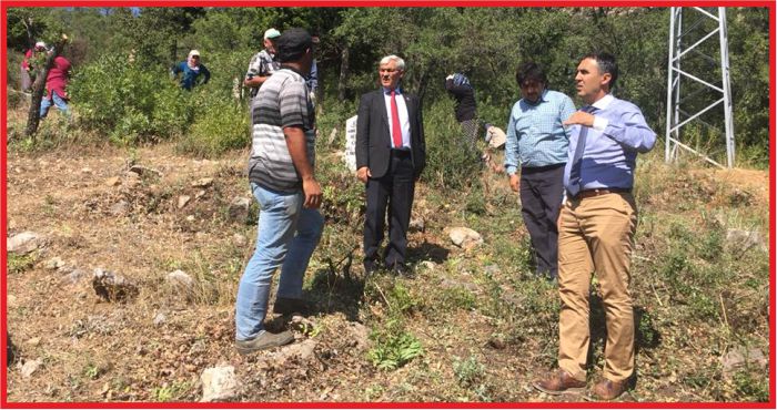 İL ÖZEL İDARE ‘TAKDİR TOPLUYOR’