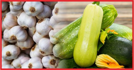 KABAK VE SARIMSAK CEP YAKIYOR !