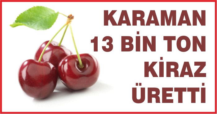 KARAMAN 13 BİN TON KİRAZ ÜRETTİ