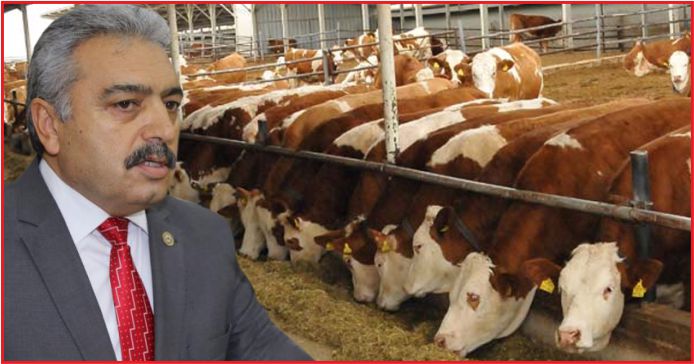 “KARAMAN HAYVANCILIK MERKEZİ OLMALI”