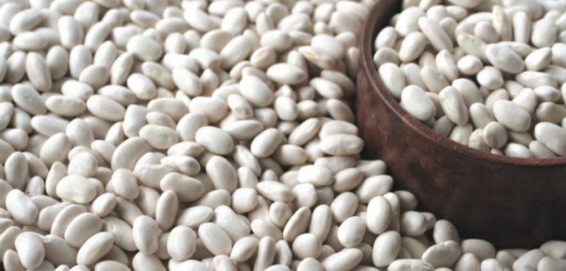 KARAMAN KURU FASÜLYE ÜRETİMİNDE İKİNCİ