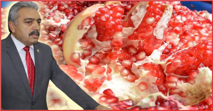 “KARAMAN NARININ KALİTESİ TARTIŞILMAZ”