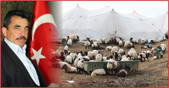 “KARAMAN’DA 50 BİN HAYVAN YARARLANIR”